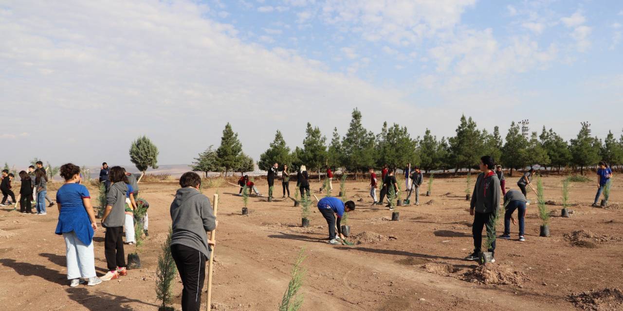 Diyarbakır’da Öğrenciler Fidan Dikti