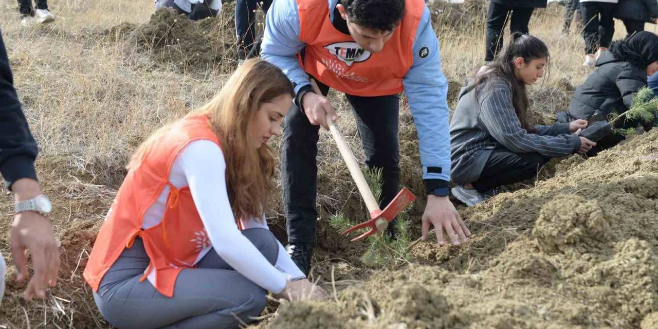 Milli Ağaçlandırma Günü’nde 20 Bin 600 Fidan Toprakla Buluştu