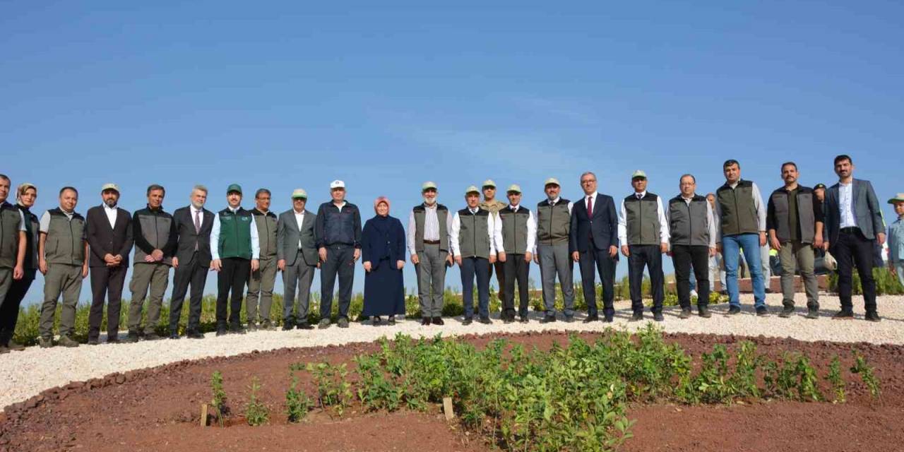 Milli Ağaçlandırma Günü’nde Deprem Şehitleri Unutulmadı