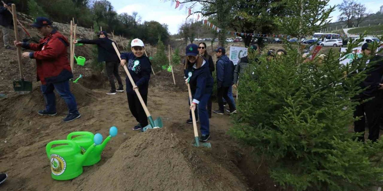 Bartın Ve İlçelerinde 4 Bin 100 Fidan Toprakla Buluştu