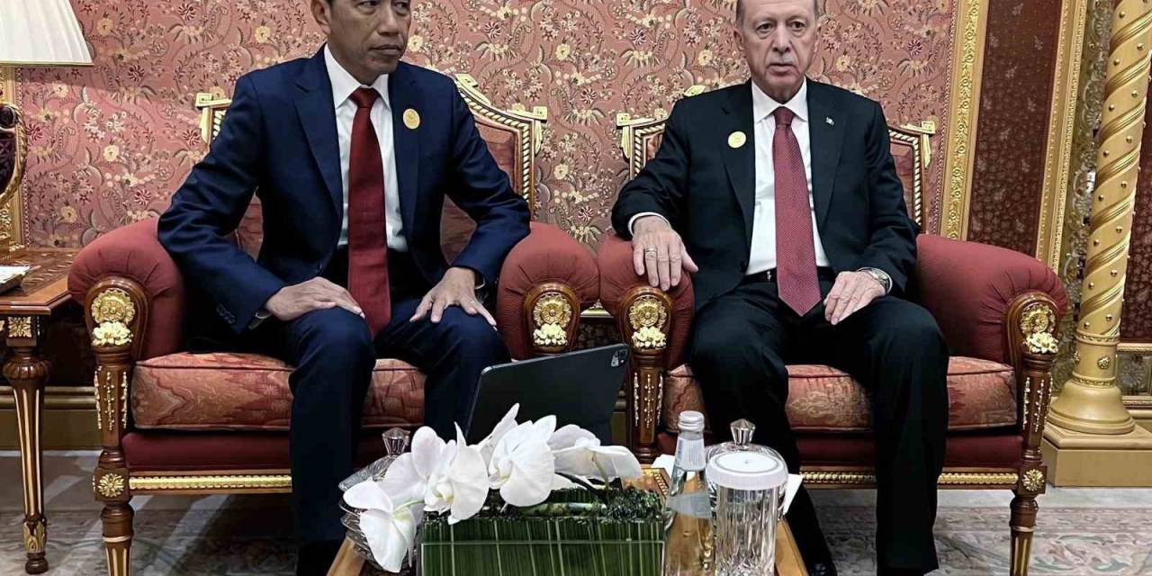 Cumhurbaşkanı Erdoğan, Endonezya Devlet Başkanı Widodo İle Görüştü