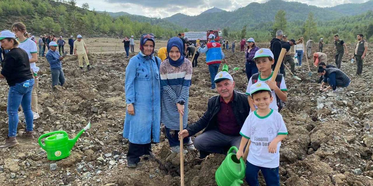 Köyceğiz’de Binlerce Fidan Toprakla Buluştu