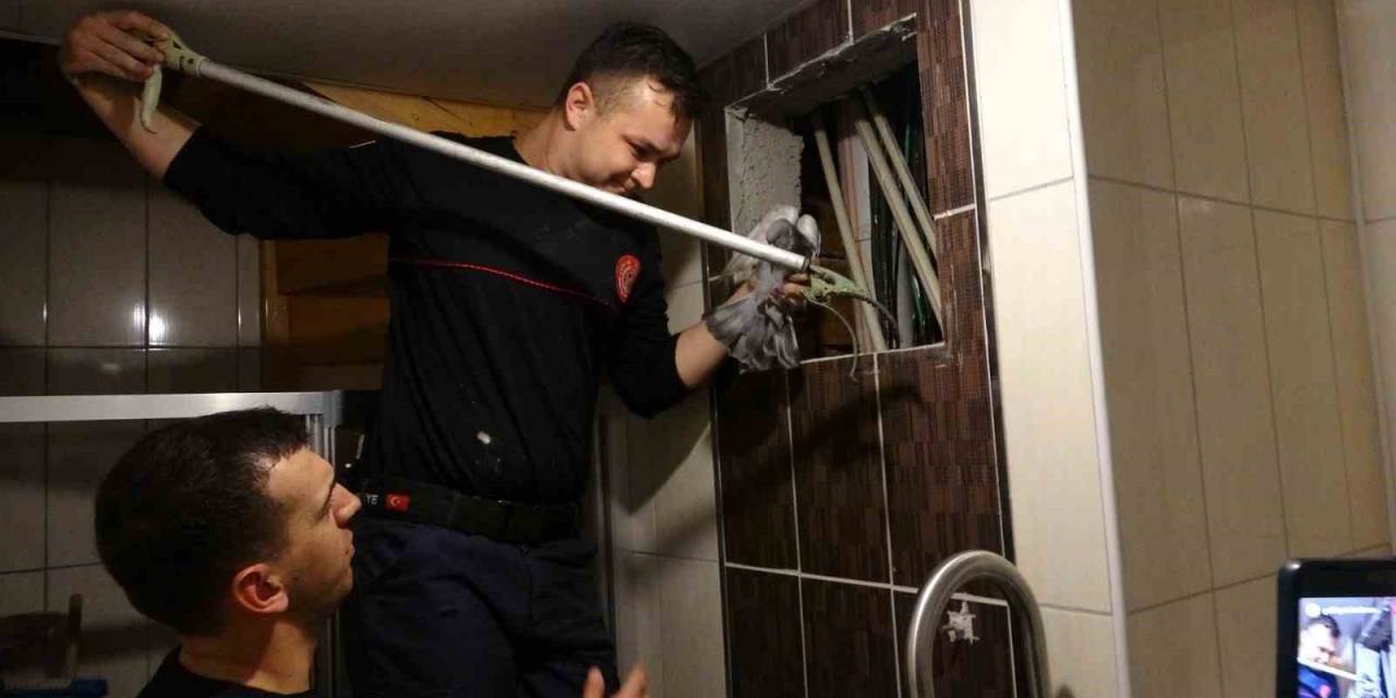 Havalandırmada Mahsur Kalan Güvercin İtfaiye Ekipleri Tarafından Kurtarıldı