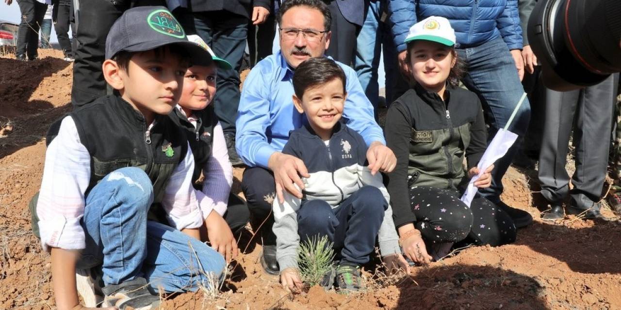 Kto Avrupa Birliği Hatıra Ormanına 10 Bin Fidan Dikildi