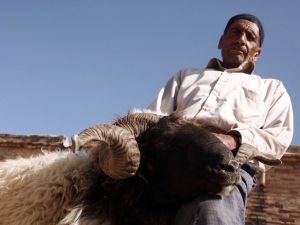 Küpeli Kurbanlıklarda Kaçak Uyarısı