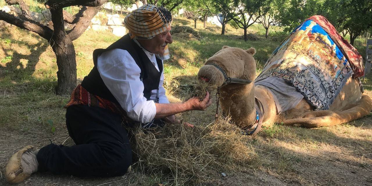 Özel Günlerin Aranan Eğlencesi Geleneksel Deve Oyunu Her Yaştan İnsanların İlgisini Çekiyor