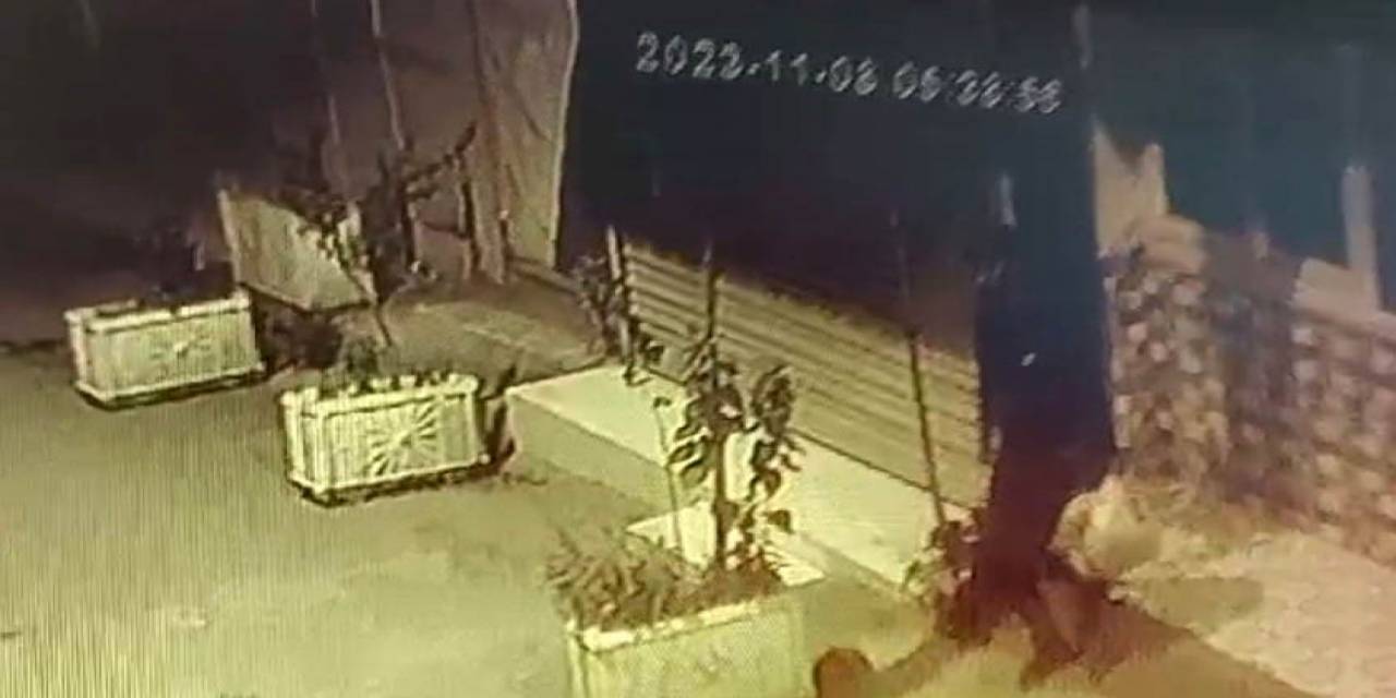 Kebapçının Etlerini Çaldı
