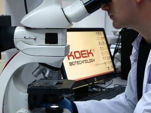 Mikroçip, Tüp Bebekte Başarı Oranını 2-3 Kat Artırdı