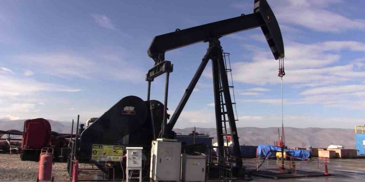 Tpao Siirt’te Bulunan 3 Sahanın Ruhsat Sürelerini 2 Yıl Uzattı