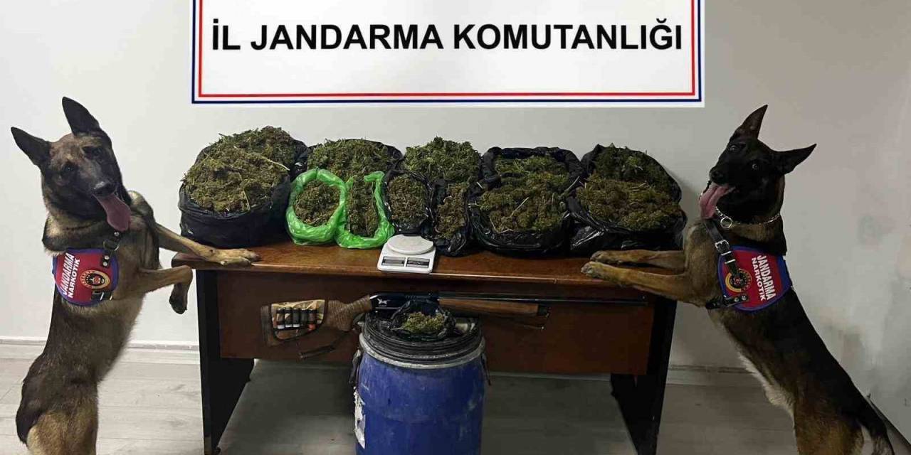 Jandarmanın 20 Kilo Esrarla Yakaladığı Şüpheli Tutuklandı