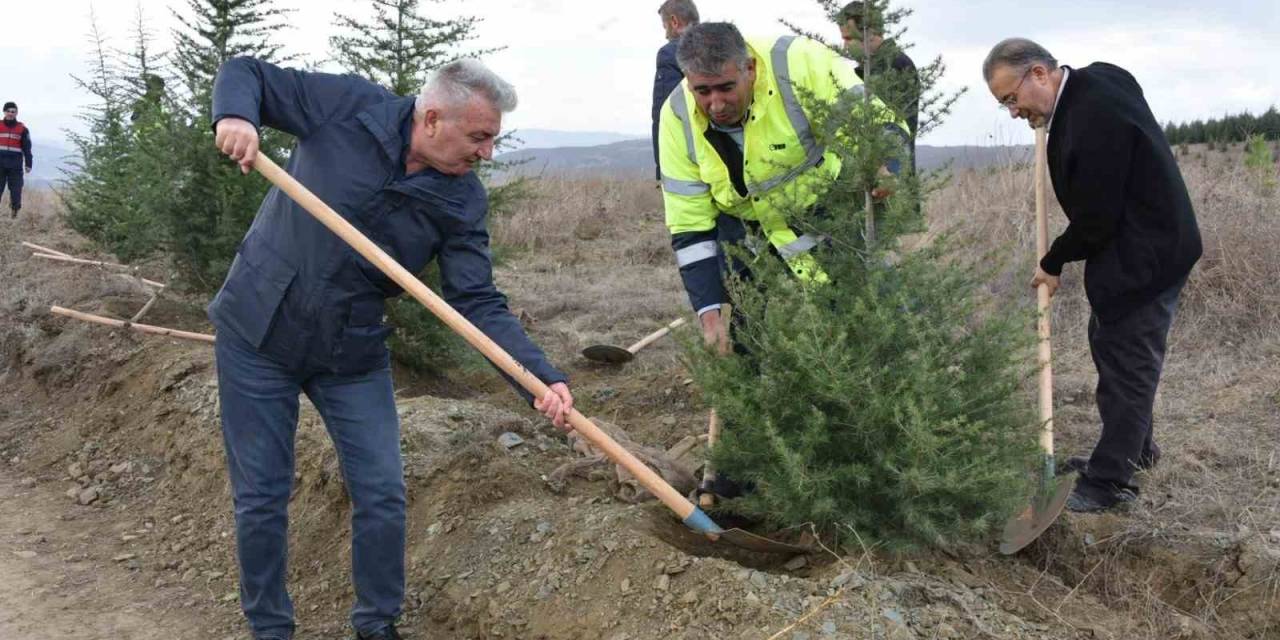 Bozüyük’te De 100. Yıl Cumhuriyet Ormanları Kuruluyor