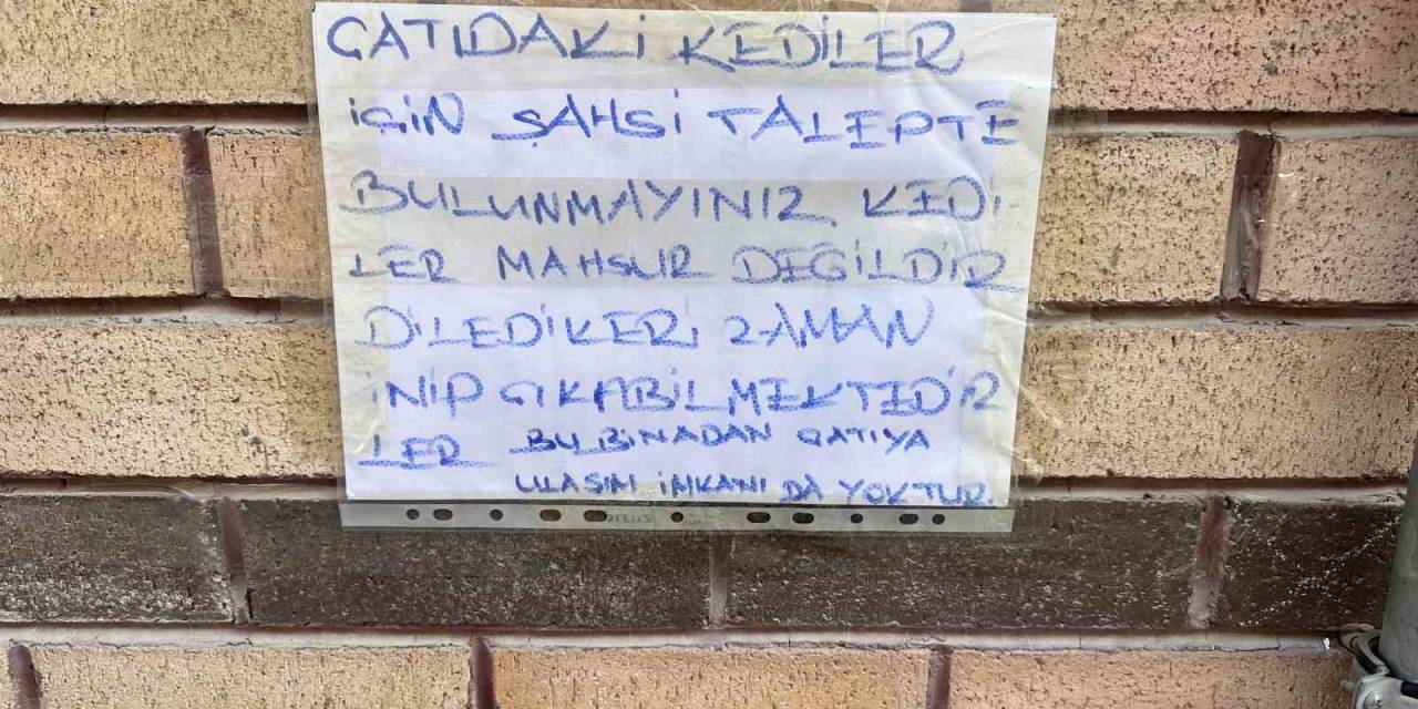 Mahsur Kaldığı Sanılan Kedileri Kurtarmak İsteyenlere Bilgilendirme Yazısı Astı
