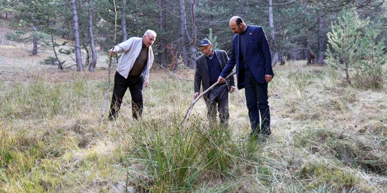 Sivas’ta Petrol Umudu, Adeta Her Yerden Çıkıyor