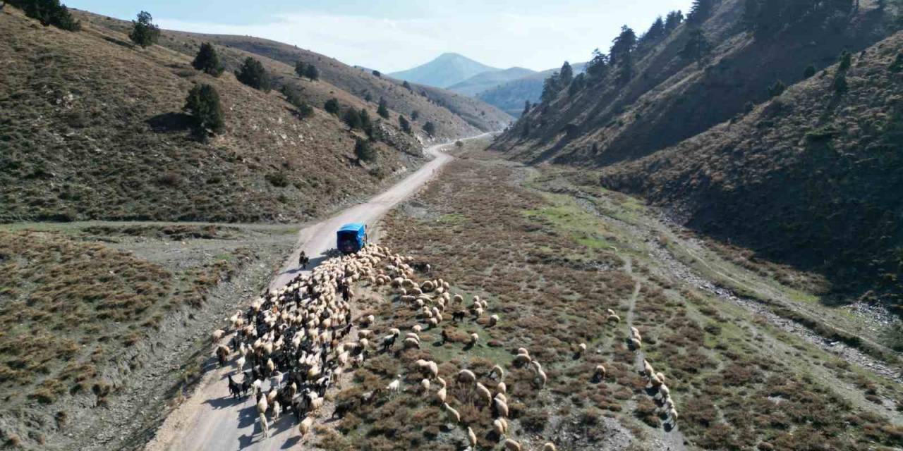 Konargöçerlerin Kış Öncesi Zorlu Göçü Başladı