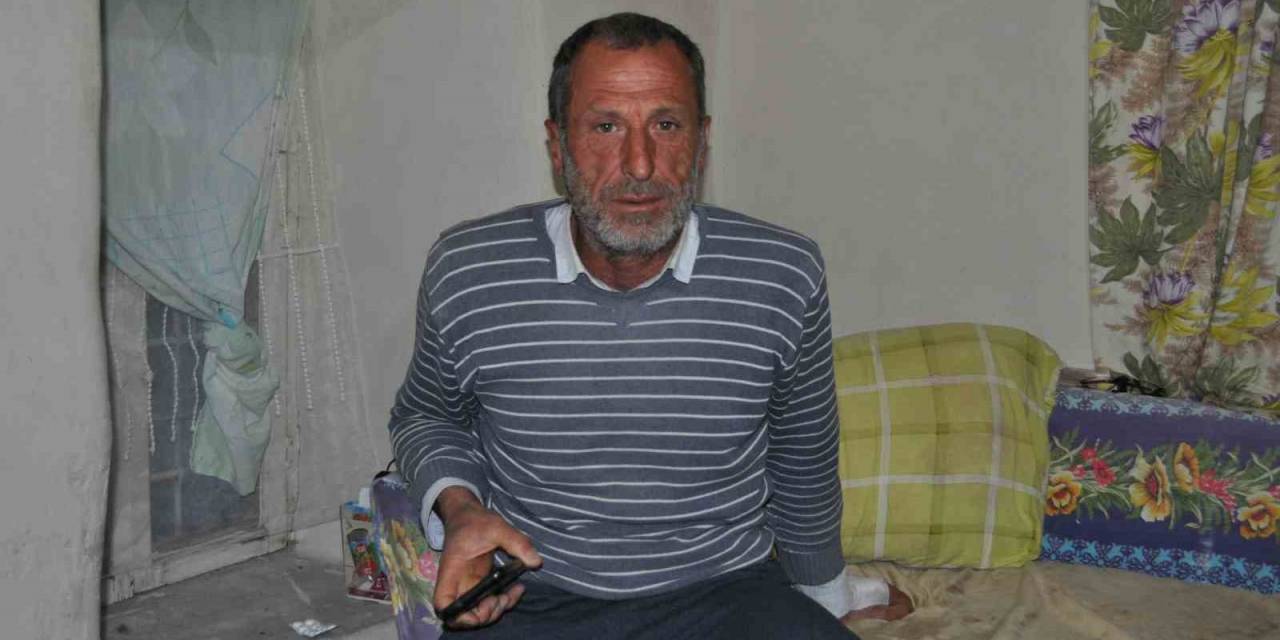 Ayı Saldırısından Şans Eseri Yaralı Kurtuldu