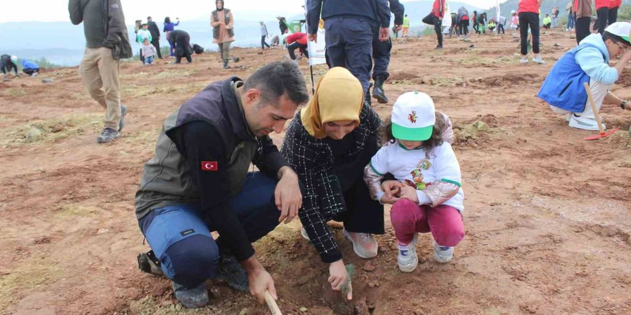 Osmaneli’ndeki 50 Yıllık Çöp Döküm Sahasında 5 Bin Fidan Toprakla Buluştu