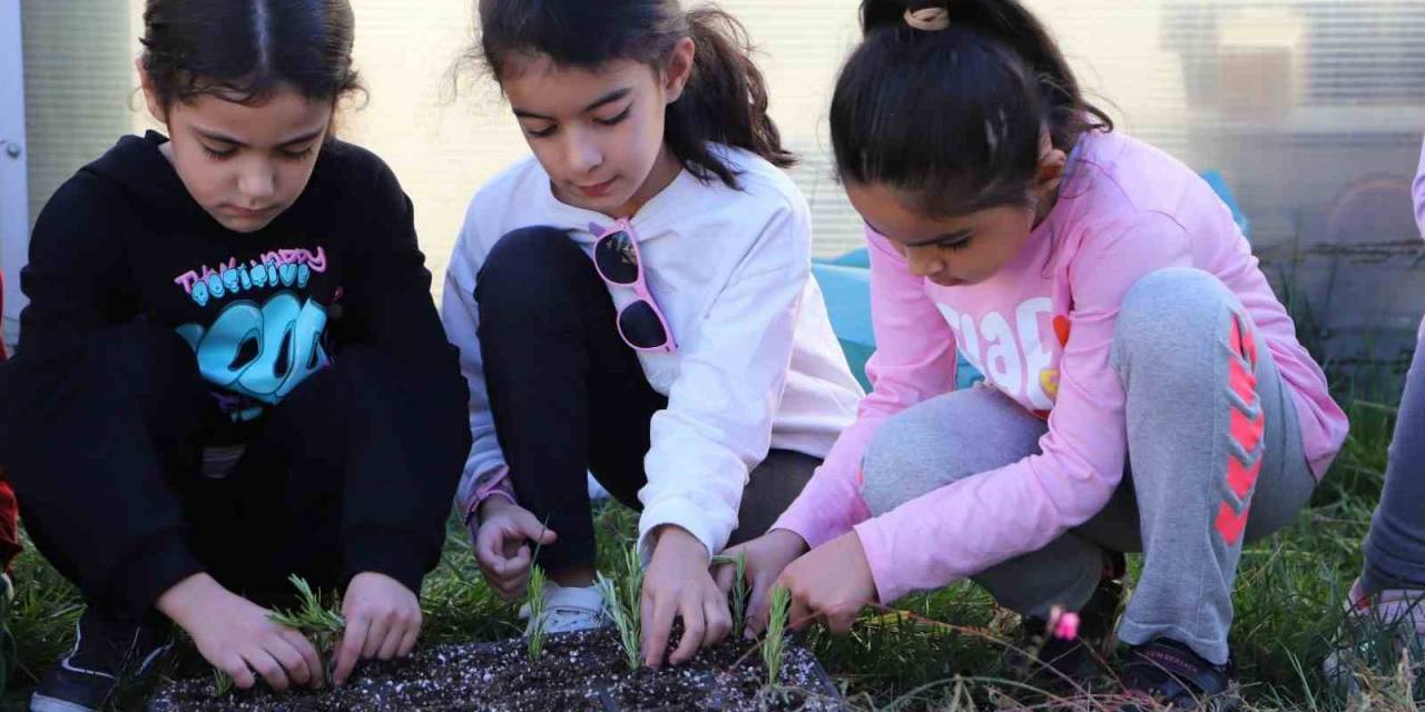 Diyarbakır’da Öğrenciler Çalı Ve Çiçek Üretiyor