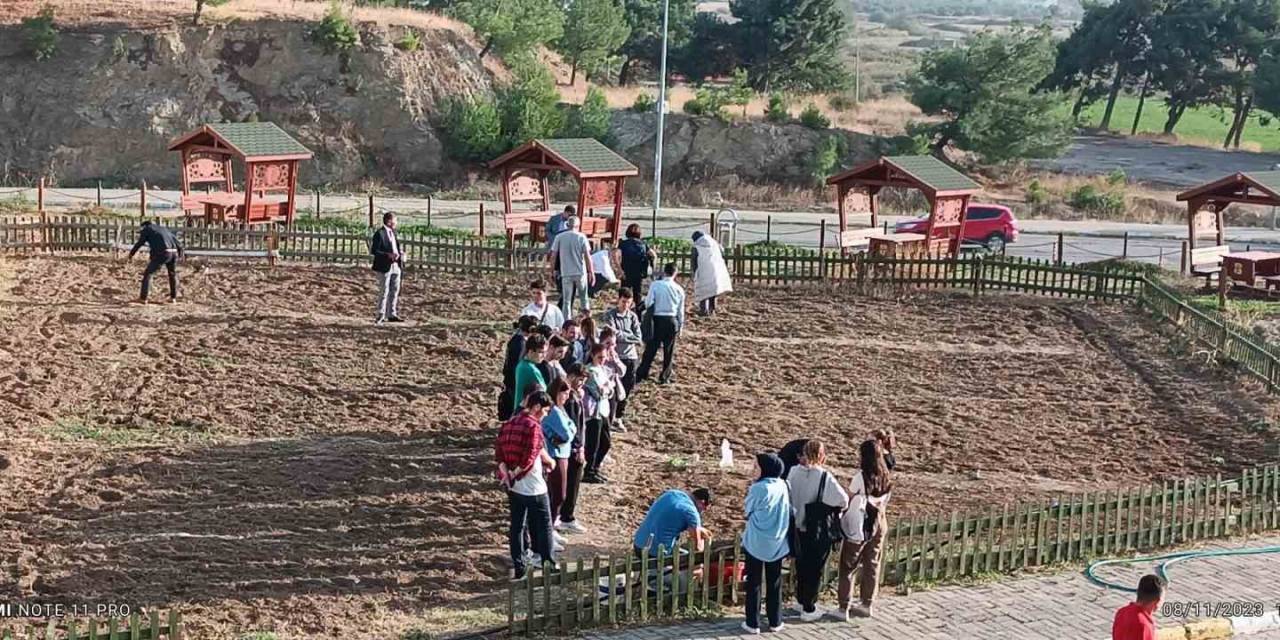 Burhaniye Uygulamalı Bilimler Fakültesi’nde Sebze Yetiştirilecek