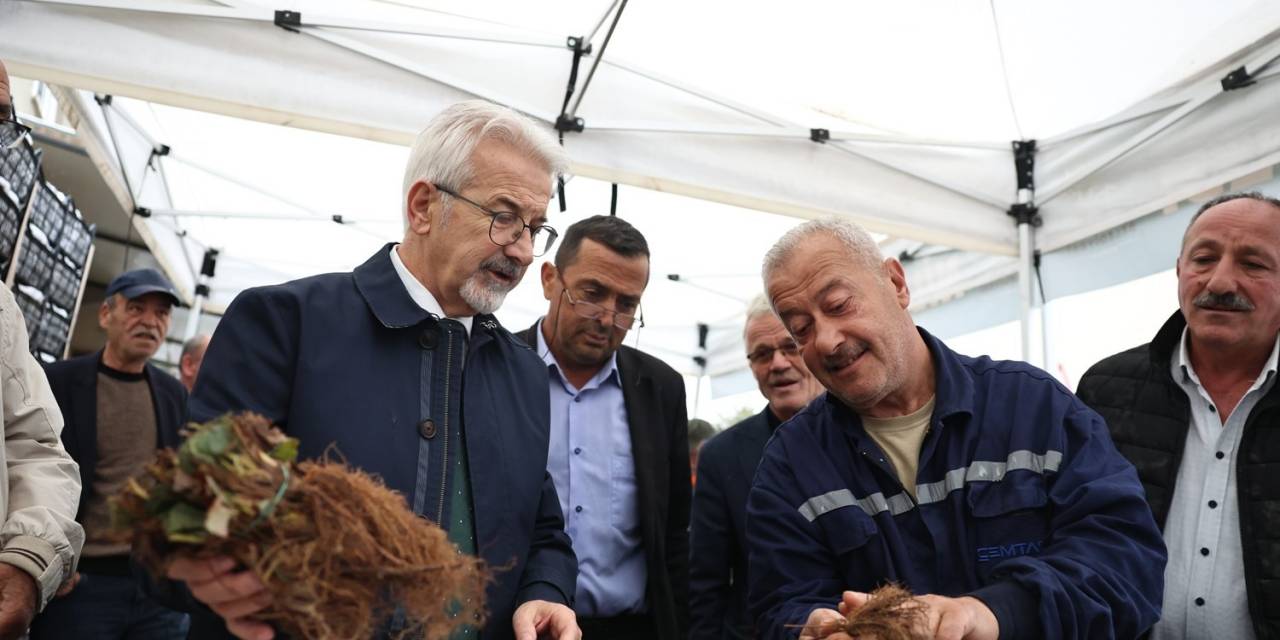 Nilüfer Belediyesi’nin Desteğiyle Çilek Üretimi Artıyor