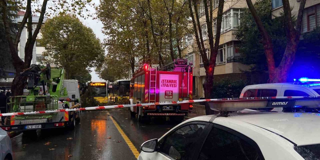 Maltepe’de Ağacın Otomobilin Üstüne Düşmesi Kamerada