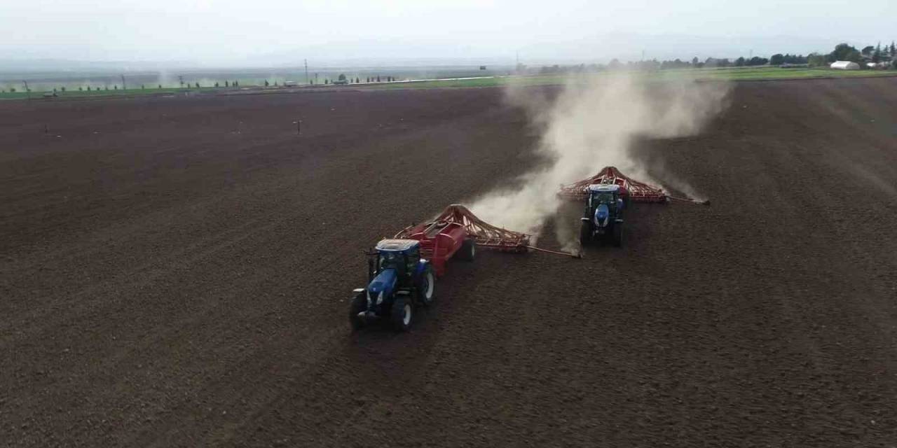 Gökhöyük Tarım İşletmesi’nde Sertifikalı Tohum Ve Hayvancılık Faaliyetleri Sürüyor