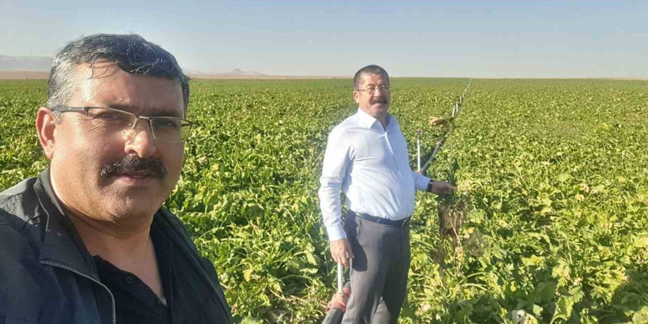 Karapınar’da Mısır Ve Şekerpancarı Mesaisi