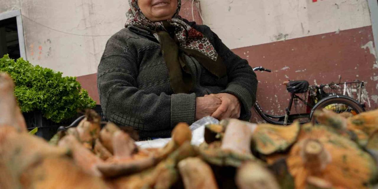Sabriye Teyzenin Kanlıca Mantarı Mesaisi