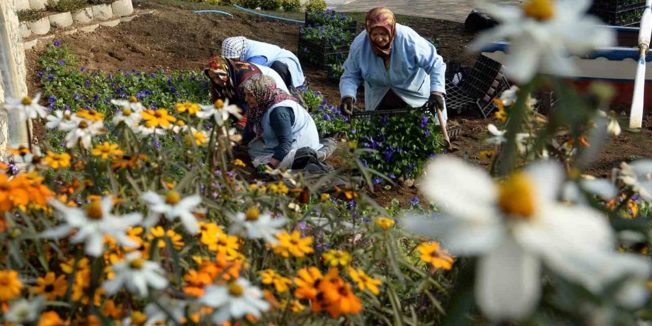 Osmangazi Belediyesi İlçeyi Çiçek Bahçesine Çeviriyor