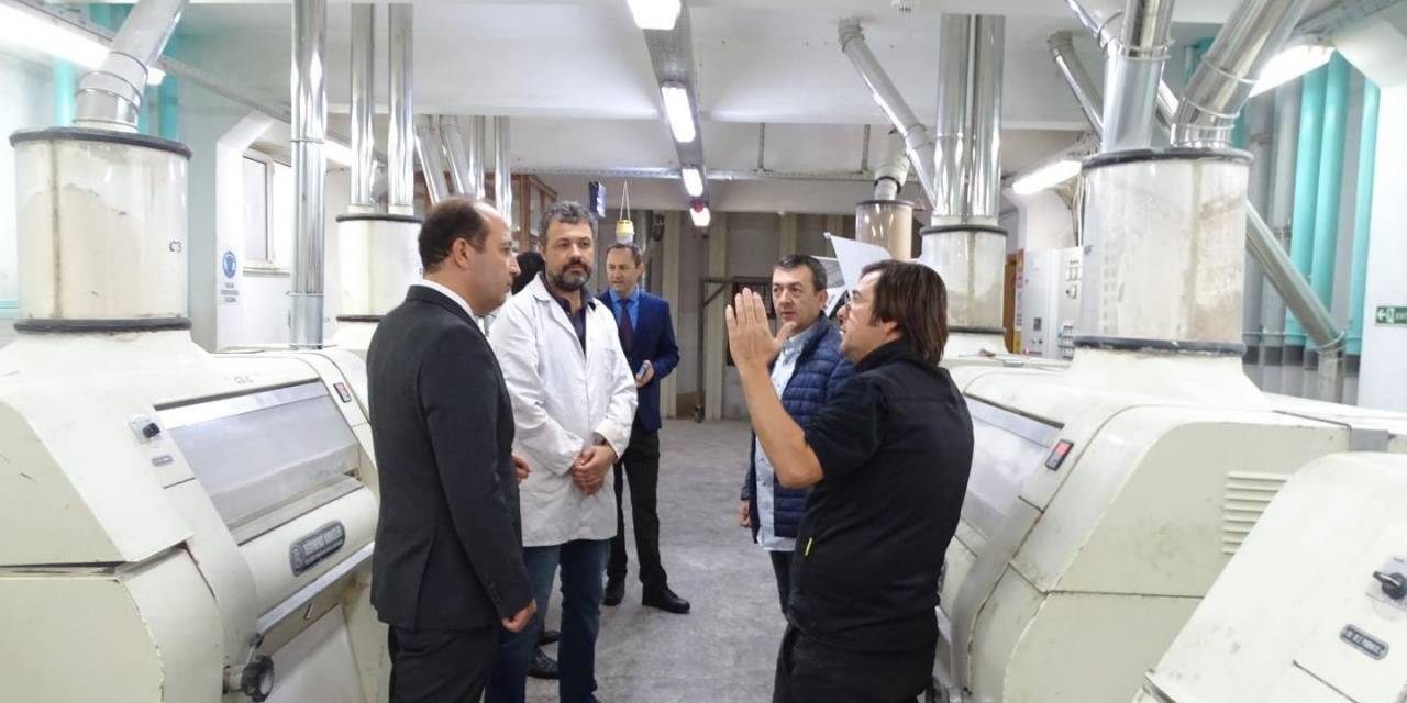 Ekmek Üreten İşletmelere Denetim