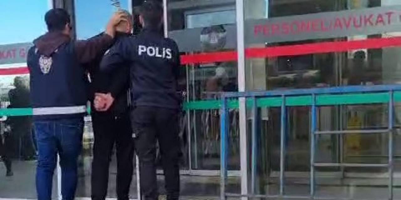 Fatih’te Kedileri Toplayan Kişinin İşyerinden Çok Sayıda Ölü Kedi Çıktı
