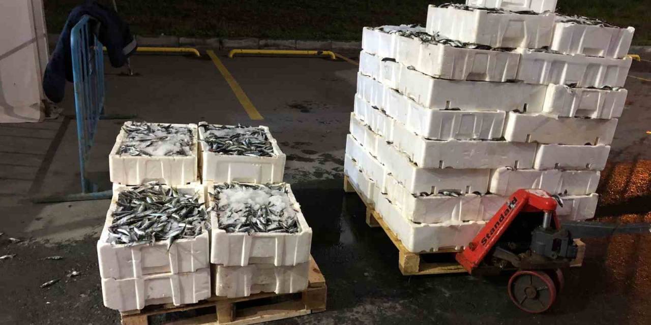 İstanbul’da Kaçak Avcılık Yapan 24 Kişiye 193 Bin 246 Tl İdari Para Cezası Kesildi