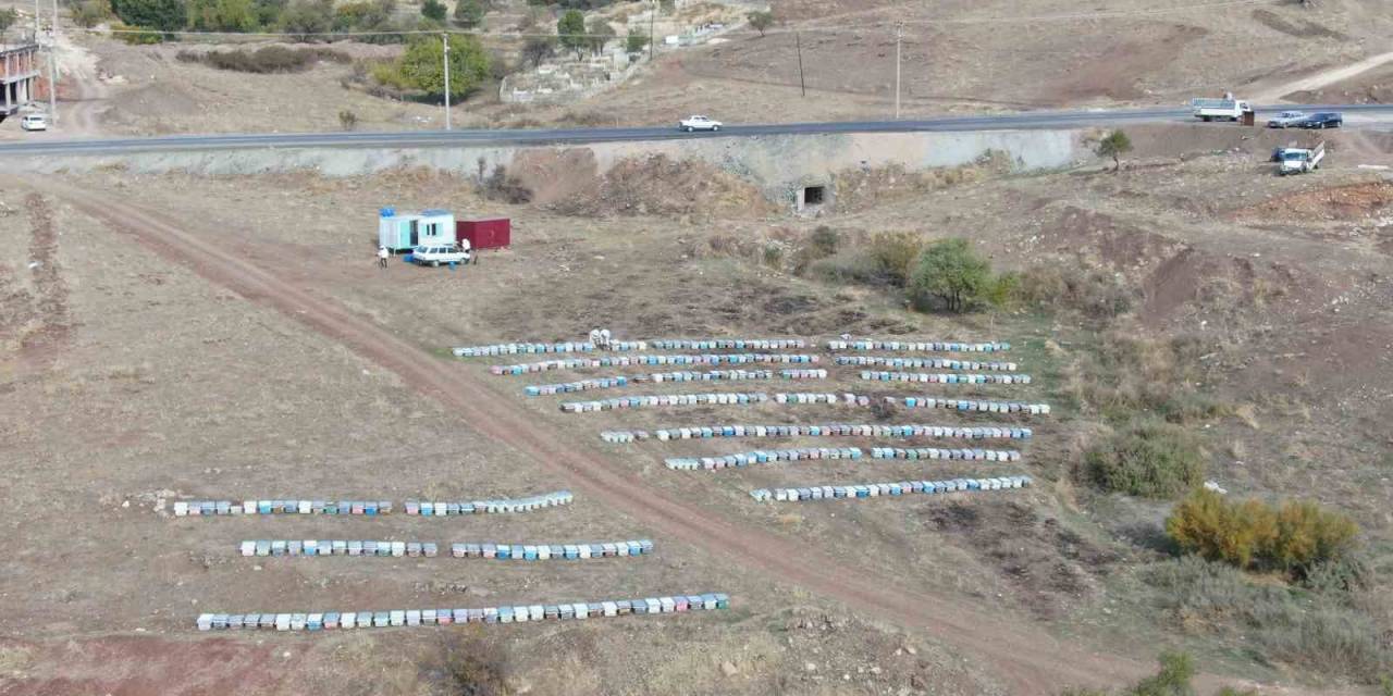 Diyarbakır’da Arıların ‘Tatlı Uykusu’ Başladı