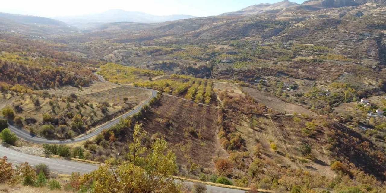 Levent Vadisi Sonbaharda Göz Kamaştırıyor