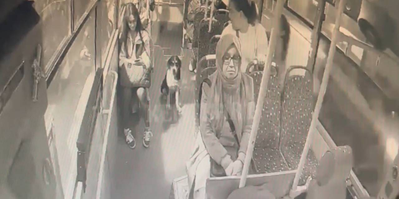 Bir Anda Bindi, Dakikalarca Yolculuk Yaptı