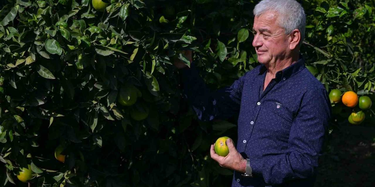 Kardeş Kente İlk Hasat Başkan Geyikçi’den