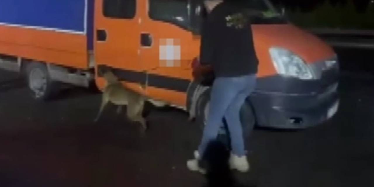 Gaziantep’te 28 Kilo Skunk Ele Geçirildi: 2 Tutuklama