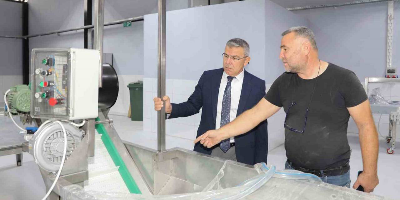 Köşk Belediyesi Kestane Tesisi, Açılmak İçin Gün Sayıyor