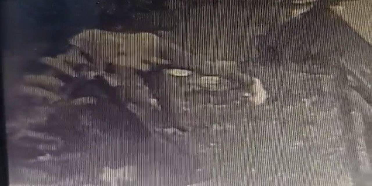 Trafo Hırsızı Önce Kameraya Sonra Polise Yakalandı