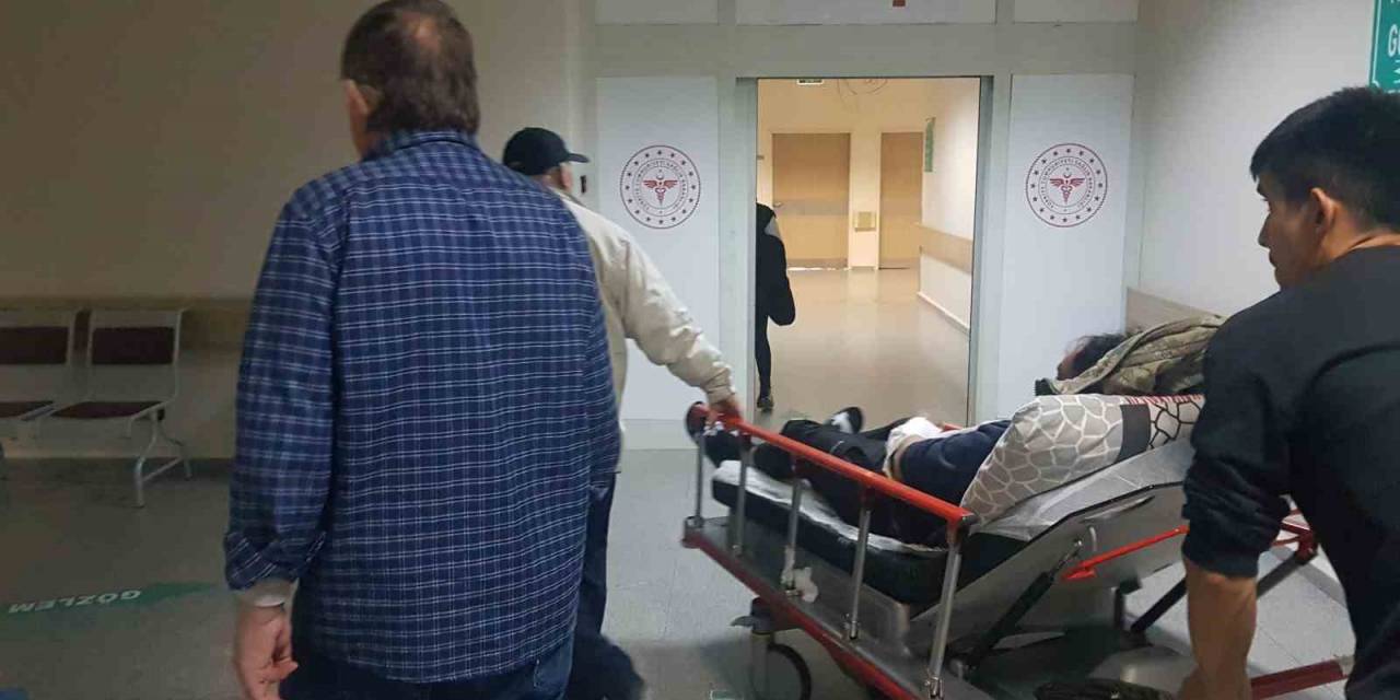 Sürüyü Otlatırken Ayı Saldırısına Uğrayan 2 Kişi Ölümden Döndü