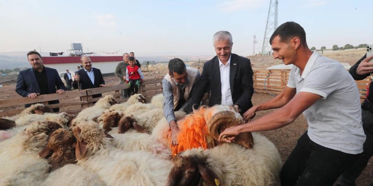 Tahmazoğlu “Hayvancılığa Desteğimiz Sürecek”