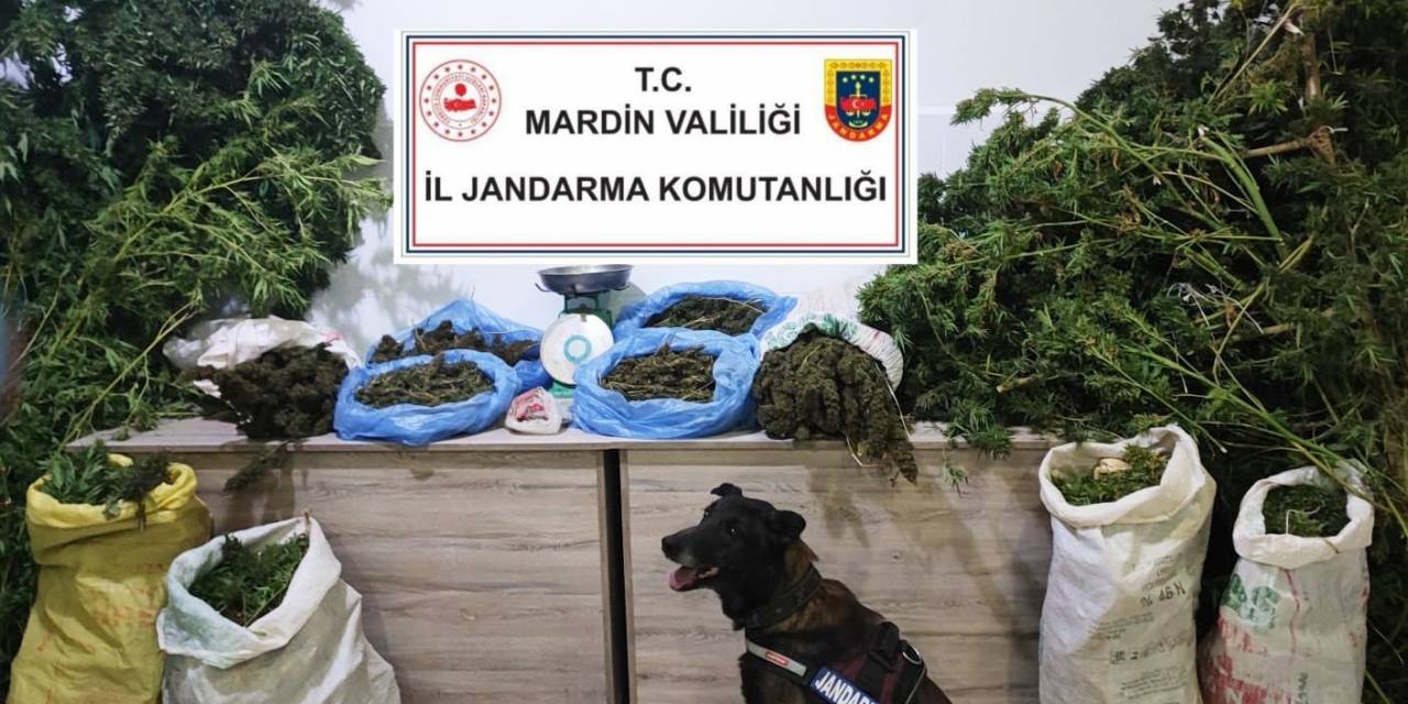Mardin’de Manav Dükkanında Uyuşturucu Satan Şüpheli Tutuklandı