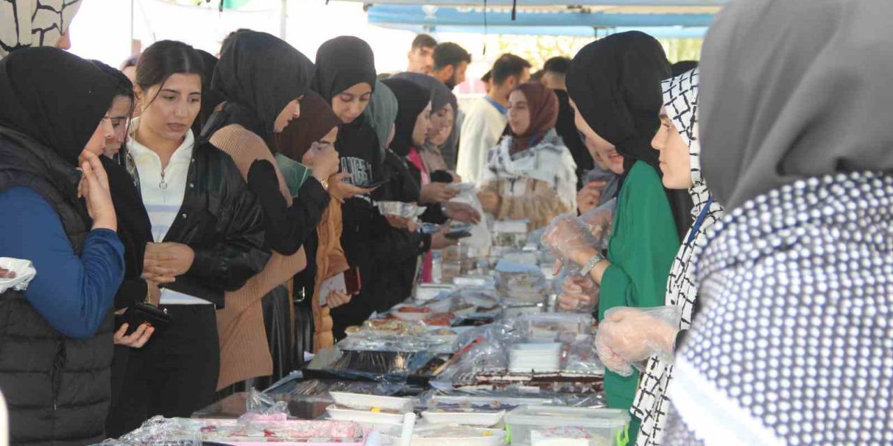 Şırnak’ta Üniversite Öğrencileri Filistin Yararına Yardım Kampanyası Düzenledi