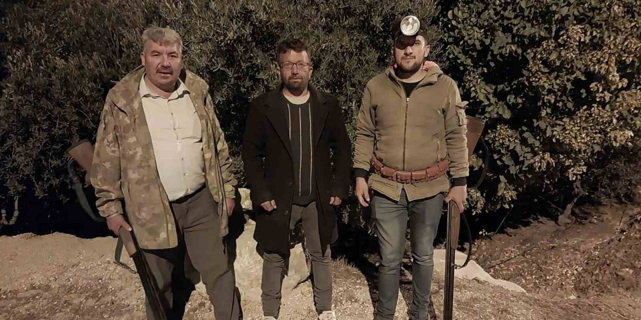 Mersin’de Zeytin Hırsızlığı Çoğaldı, Üreticiler Akşamları Bahçelerde Nöbet Tutuyor