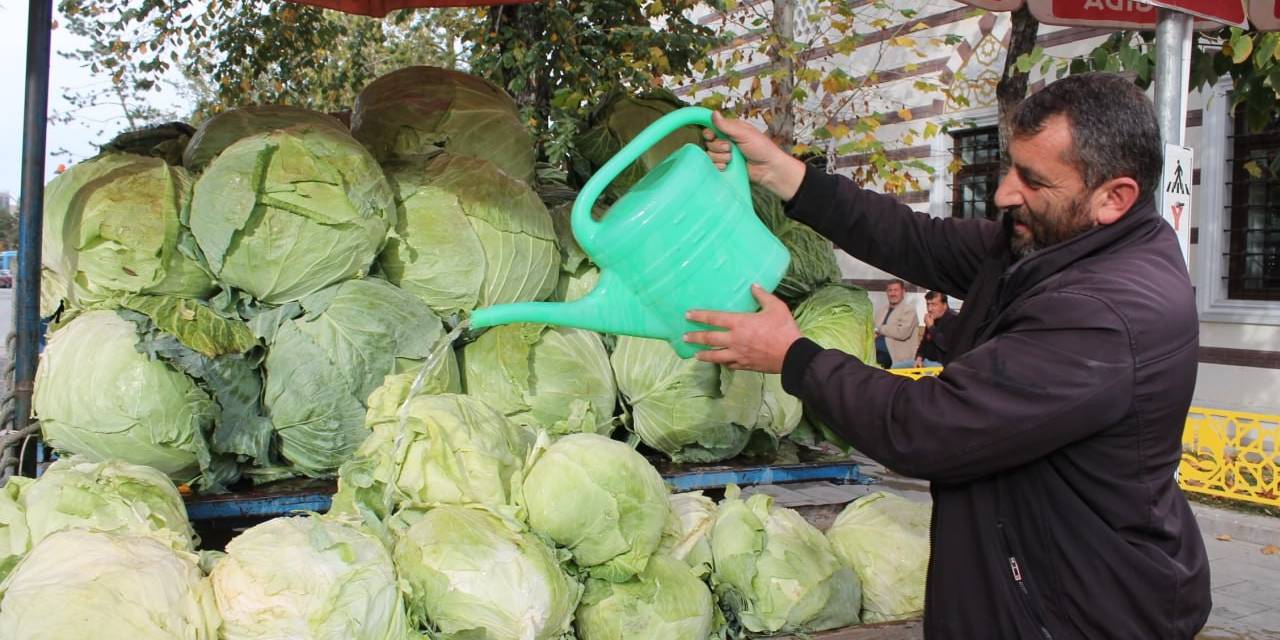 Bayburt’ta Organik Tarımla Üretilen Organik Lahanalar Tezgahta Yerini Aldı