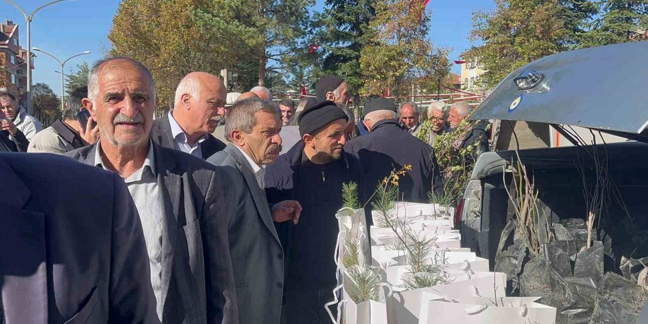 Camilerde Vatandaşlara 2 Bin Fidan Dağıtıldı