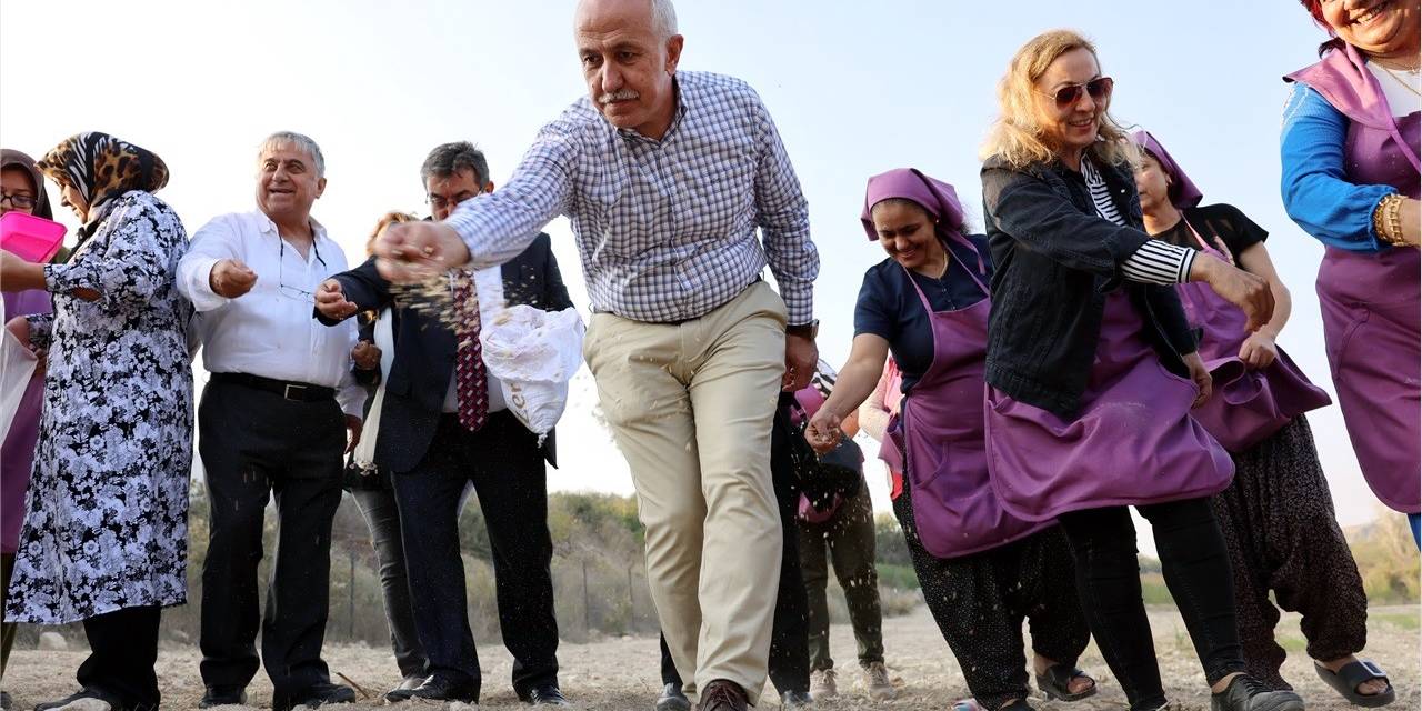 Akdeniz’de Gambilya, Organik Ispanak Ve Şevketi Bostan Ekimi Gerçekleştirildi