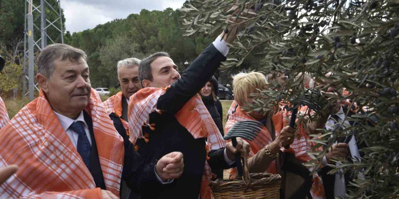İzmir’de Zeytin Ve Zeytinyağı Sezonu Açıldı