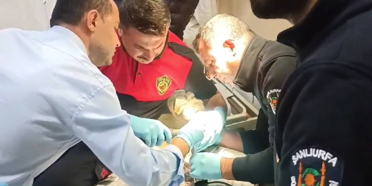 Yemek Yaparken Elini Karıştırıcıya Sıkıştırdı