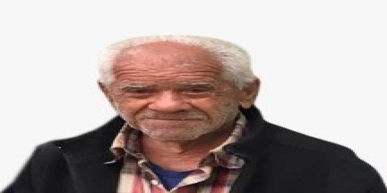 Gemlik’te Dere Yatağına Düşen Yaşlı Adam Hayatını Kaybetti