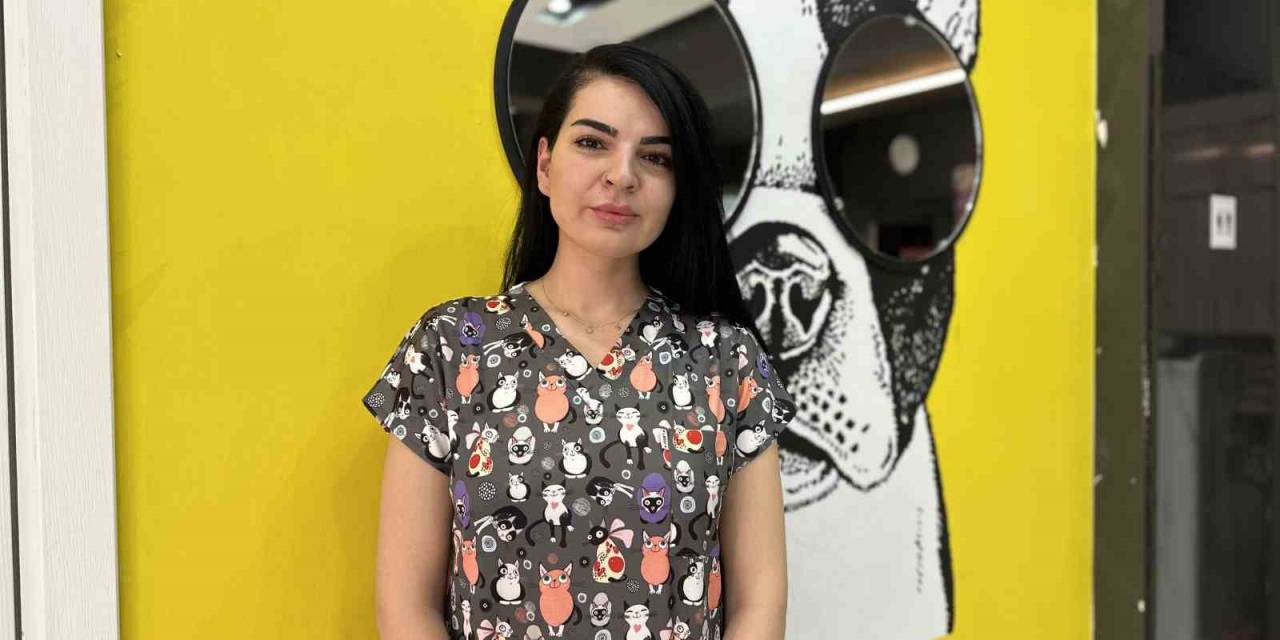 Hayvanlara Yardım Etmek İsterken Dikkat Edin